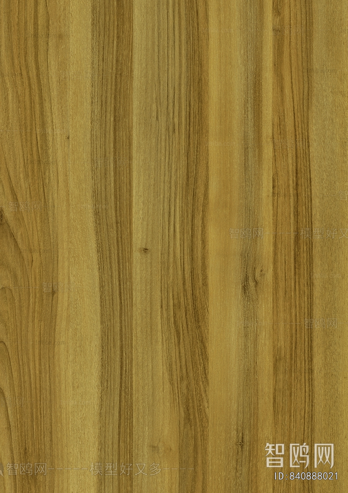Wood Texture