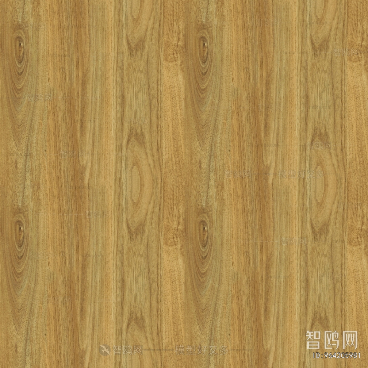 Wood Texture