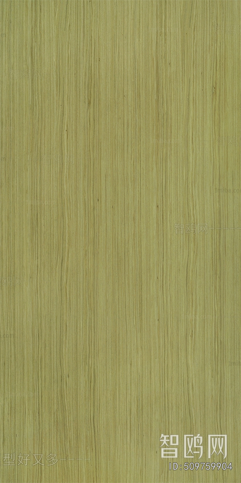 Wood Texture