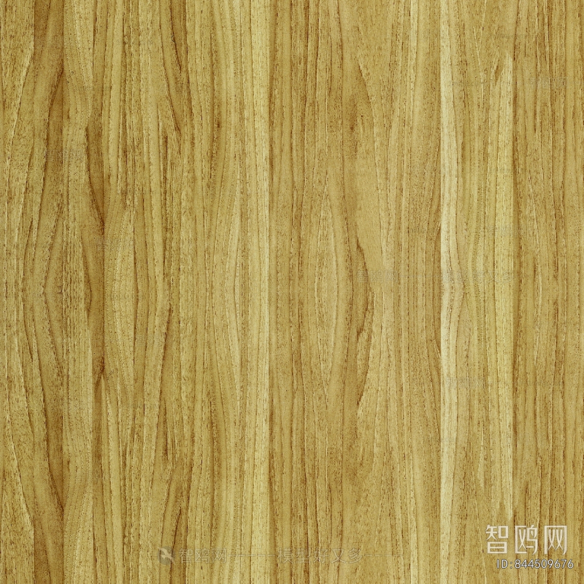 Wood Texture