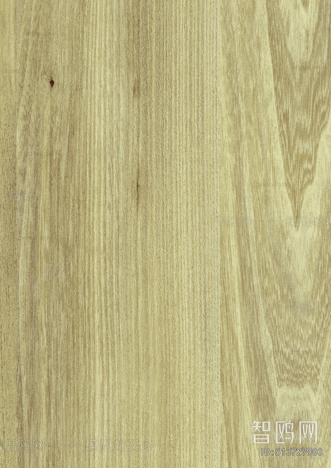 Wood Texture