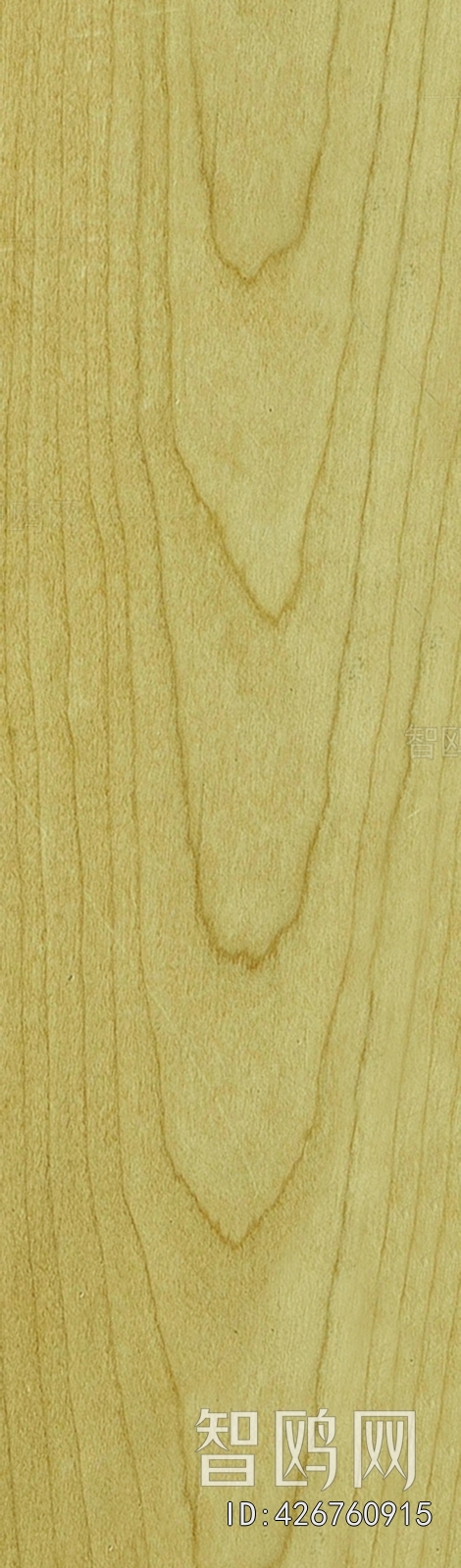 Wood Texture