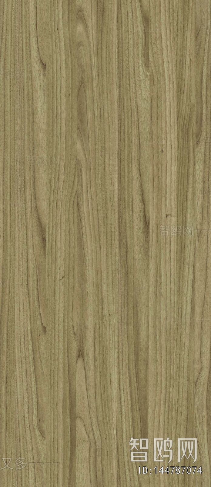 Wood Texture