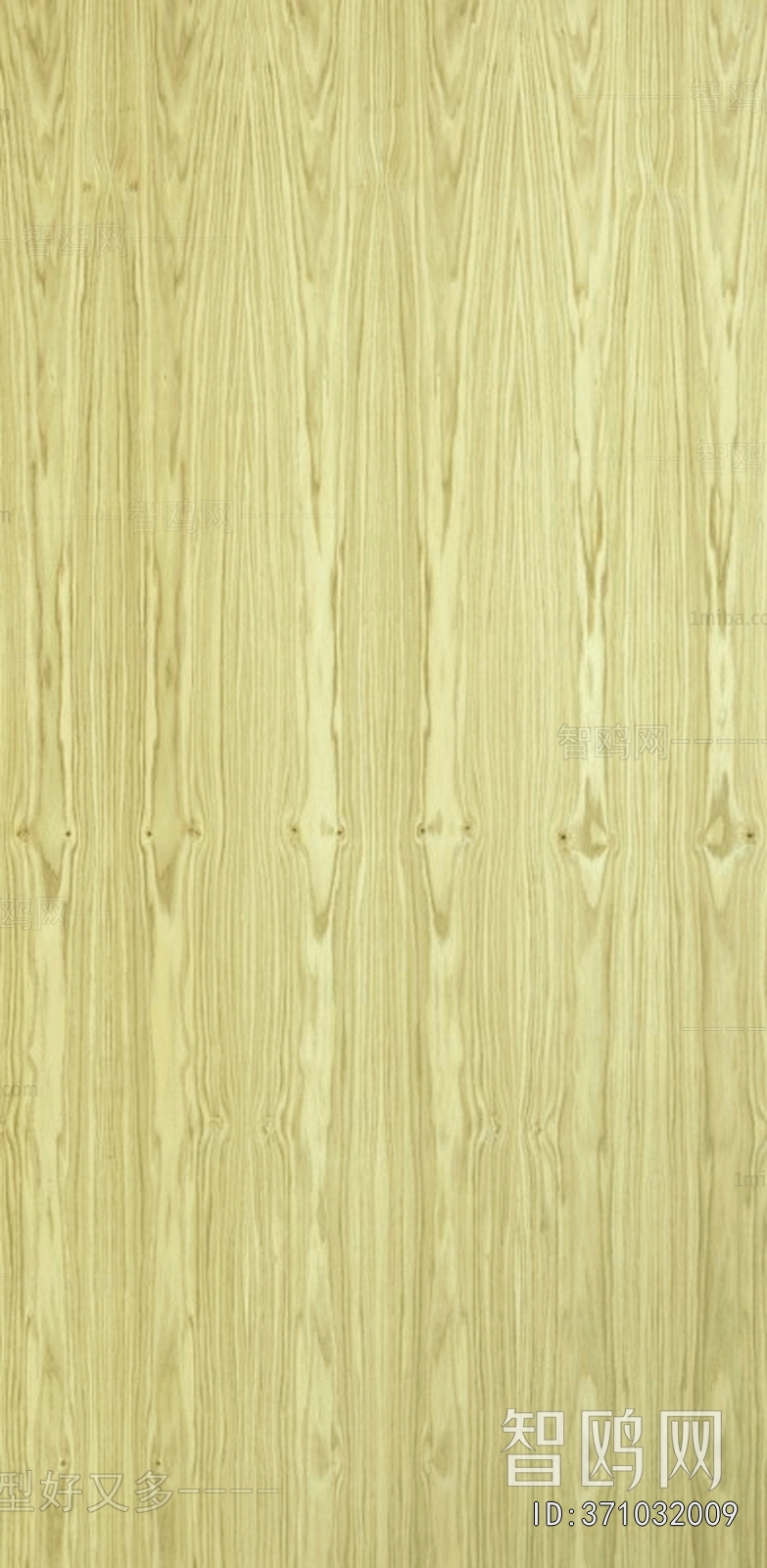 Wood Texture