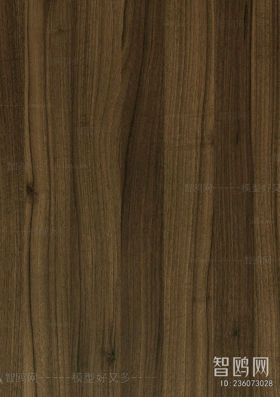 Wood Texture