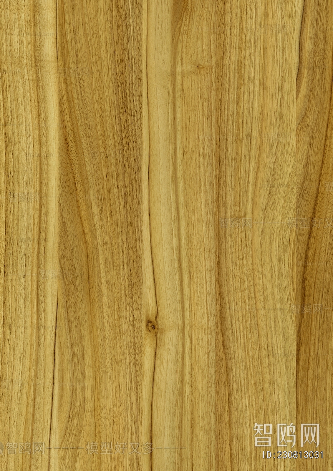 Wood Texture