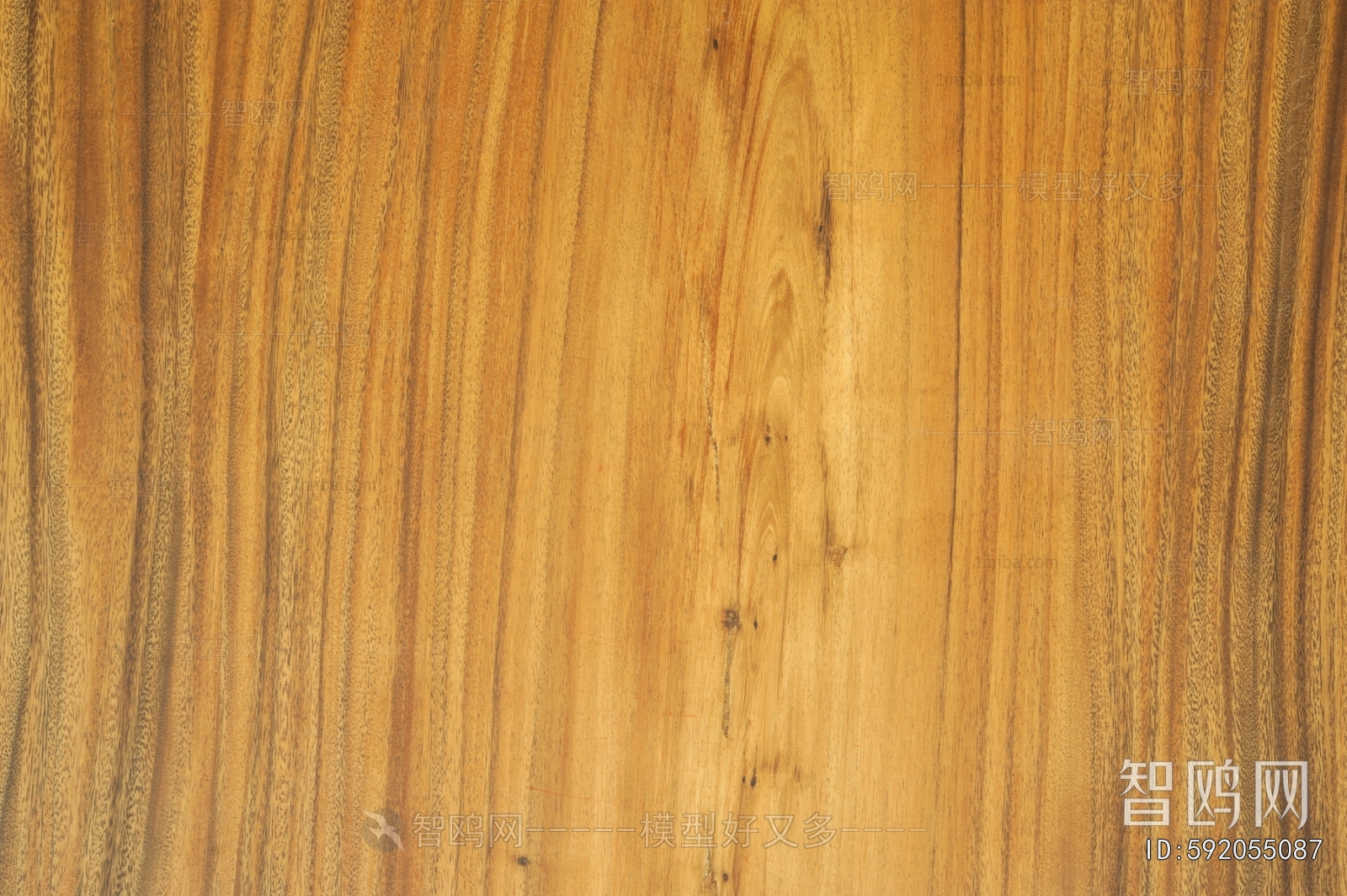 Wood Texture