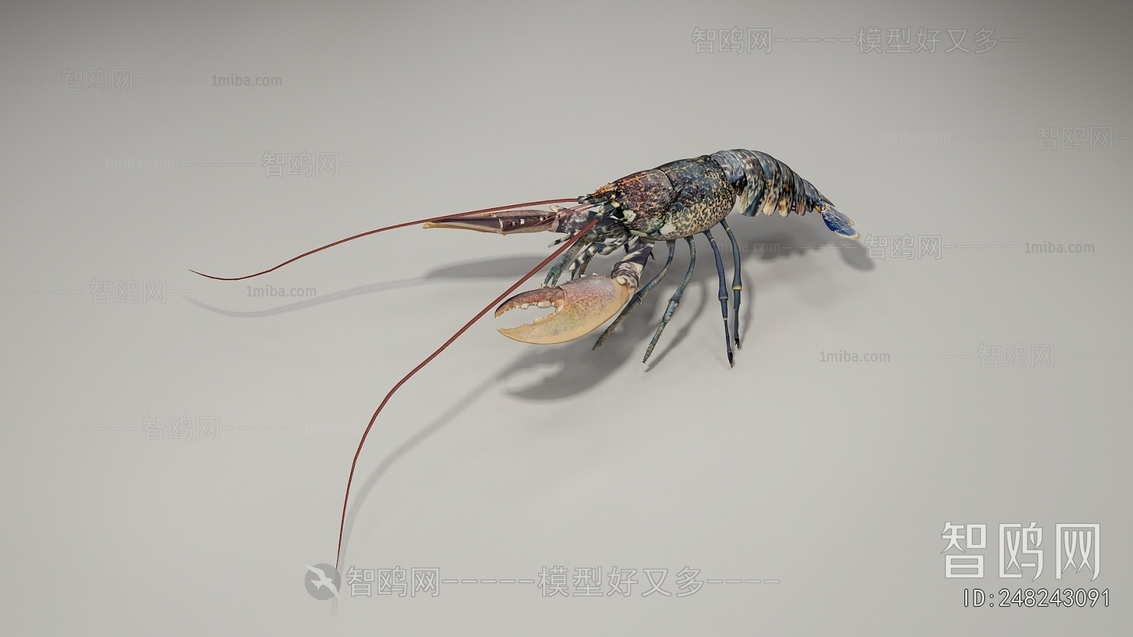 Modern Aquatic Animals