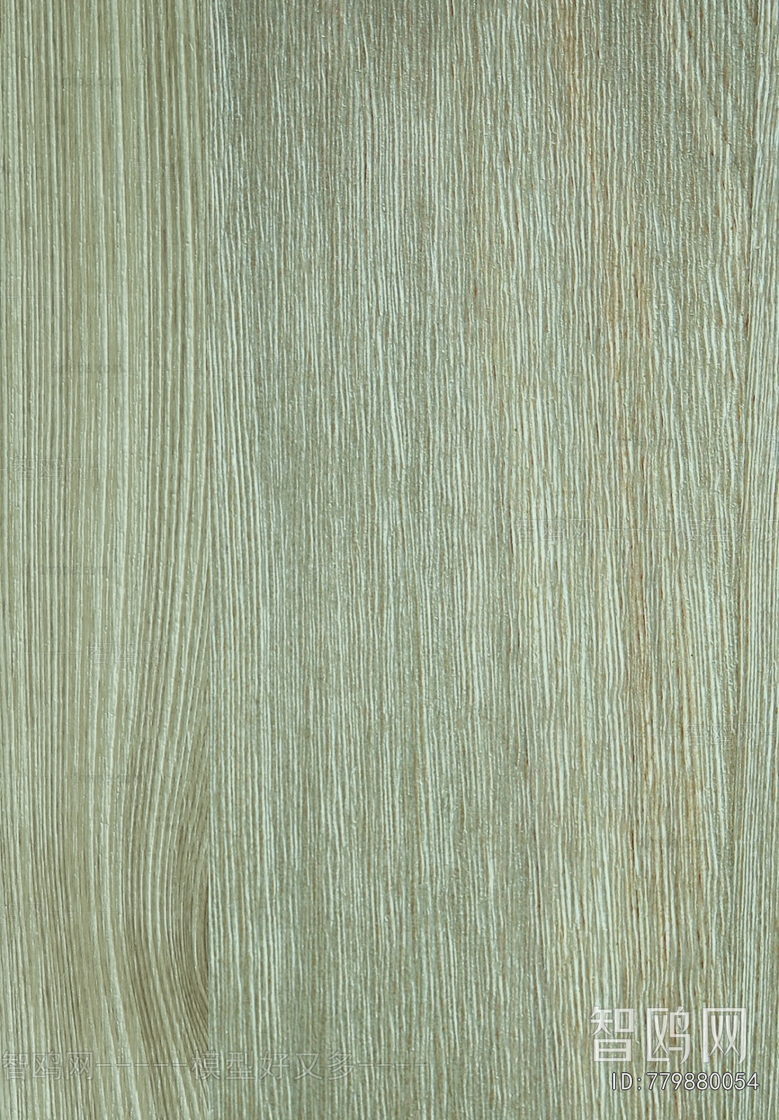 Wood Texture