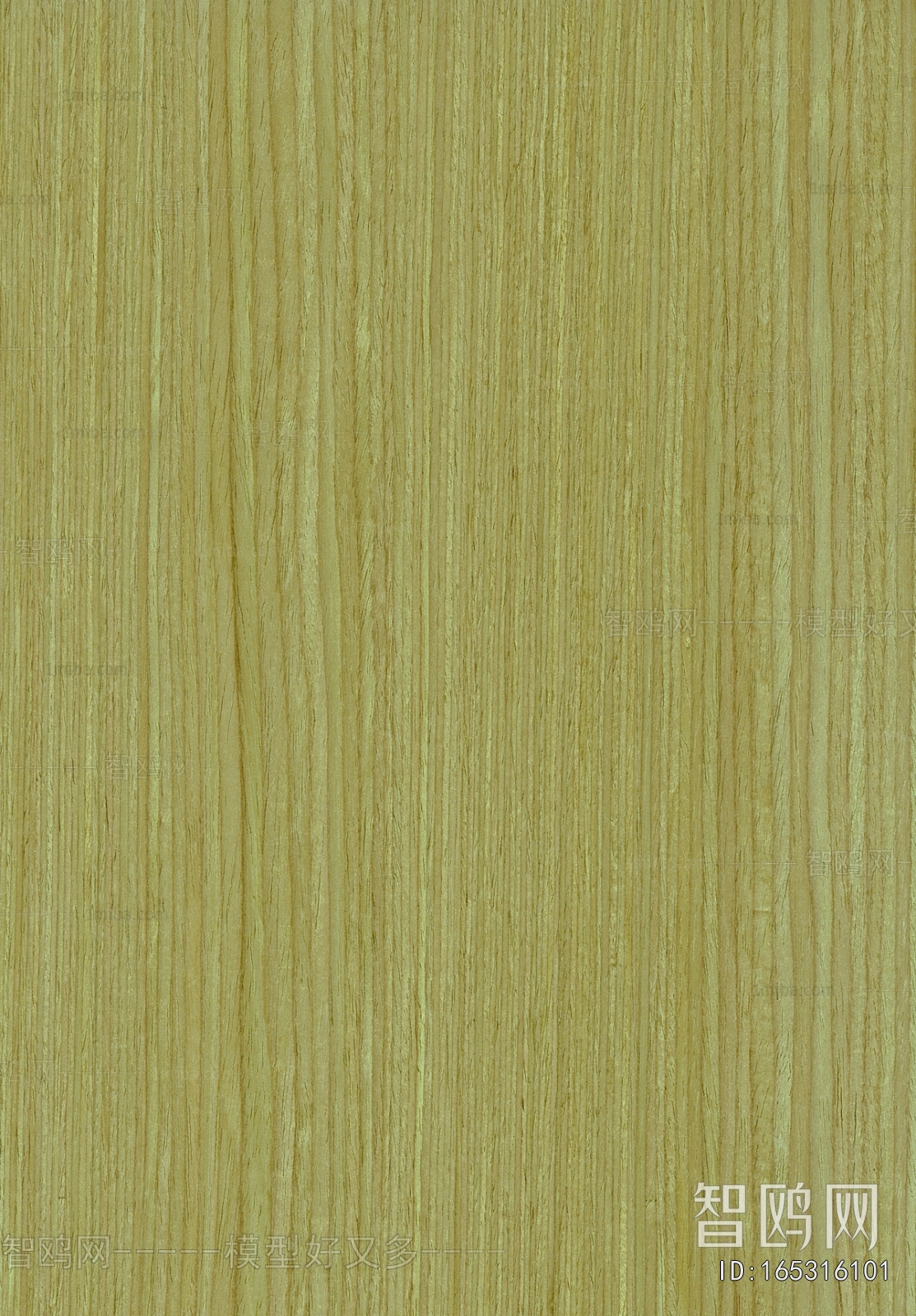 Wood Texture