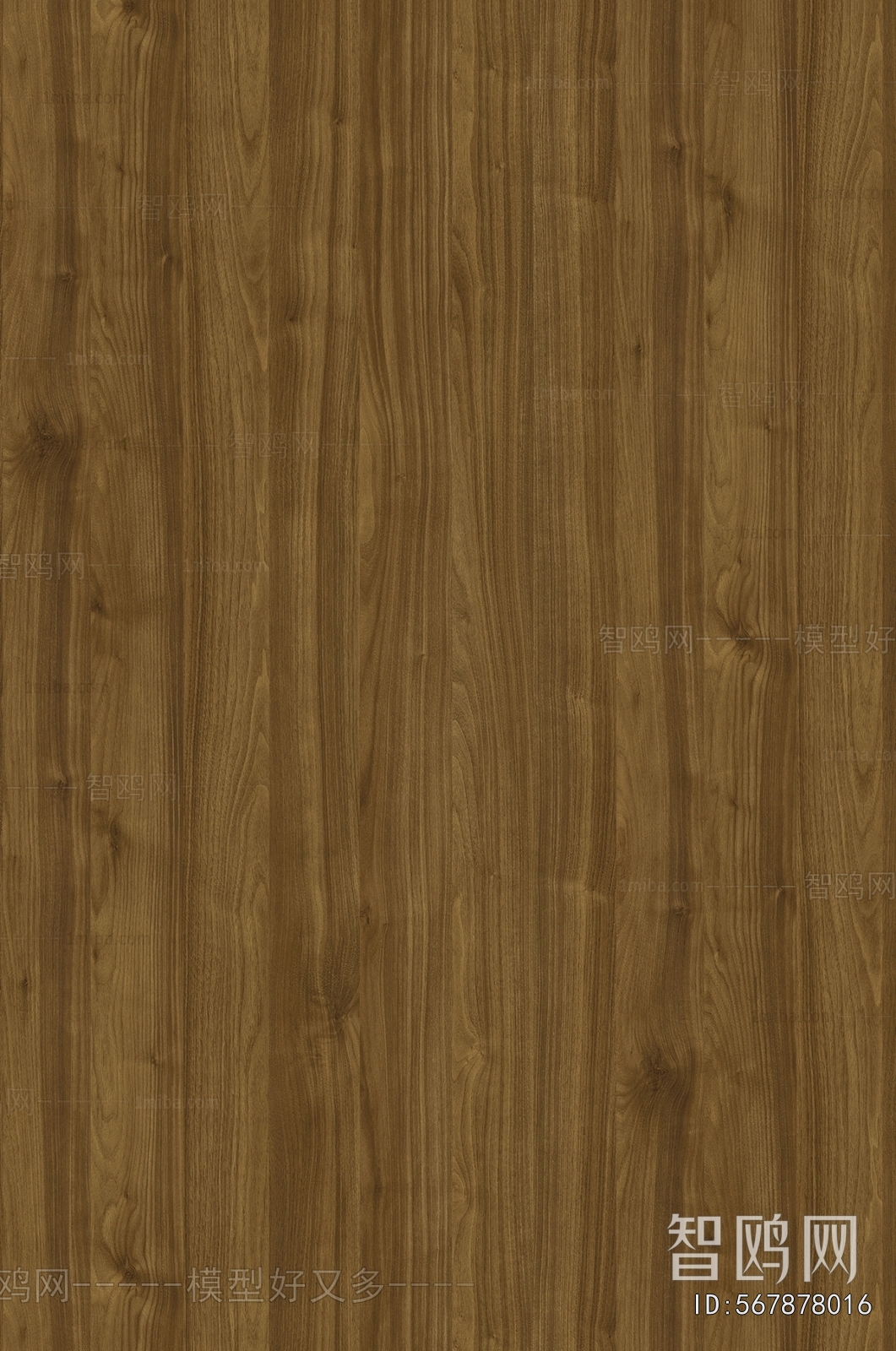 Wood Texture