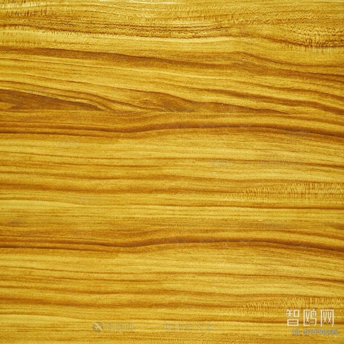 Wood Texture
