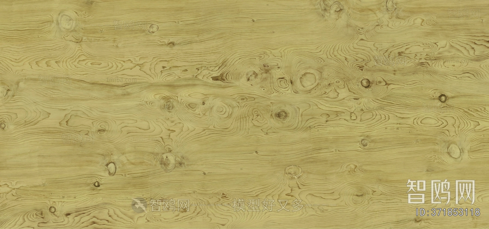 Wood Texture