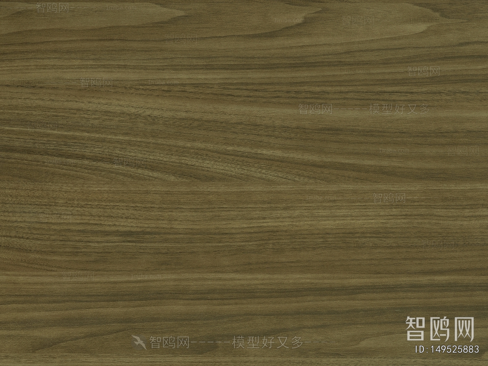 Wood Texture