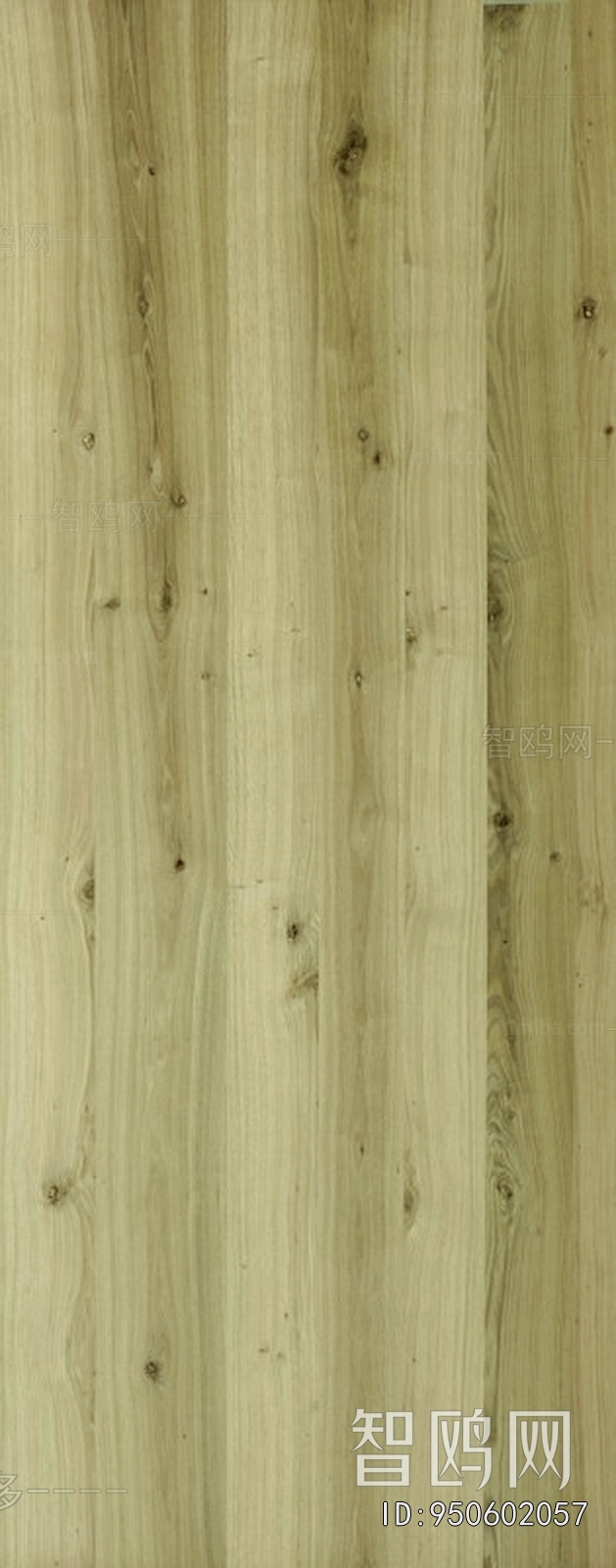 Wood Texture