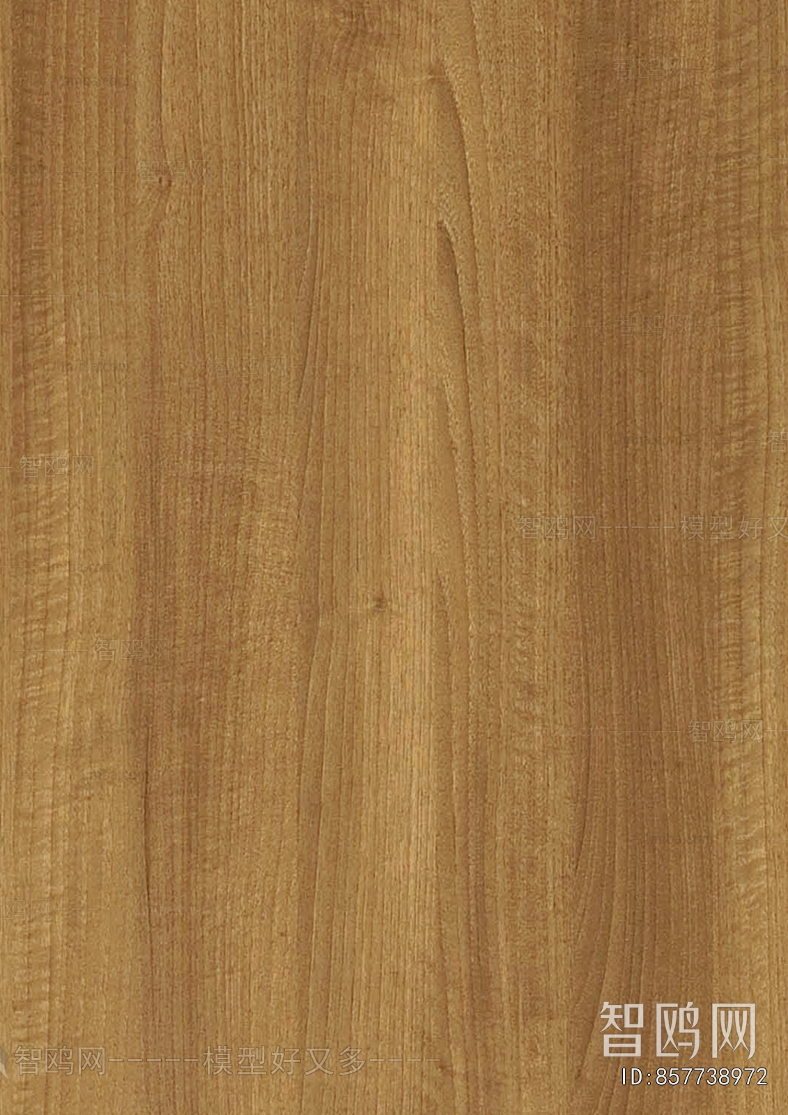 Wood Texture