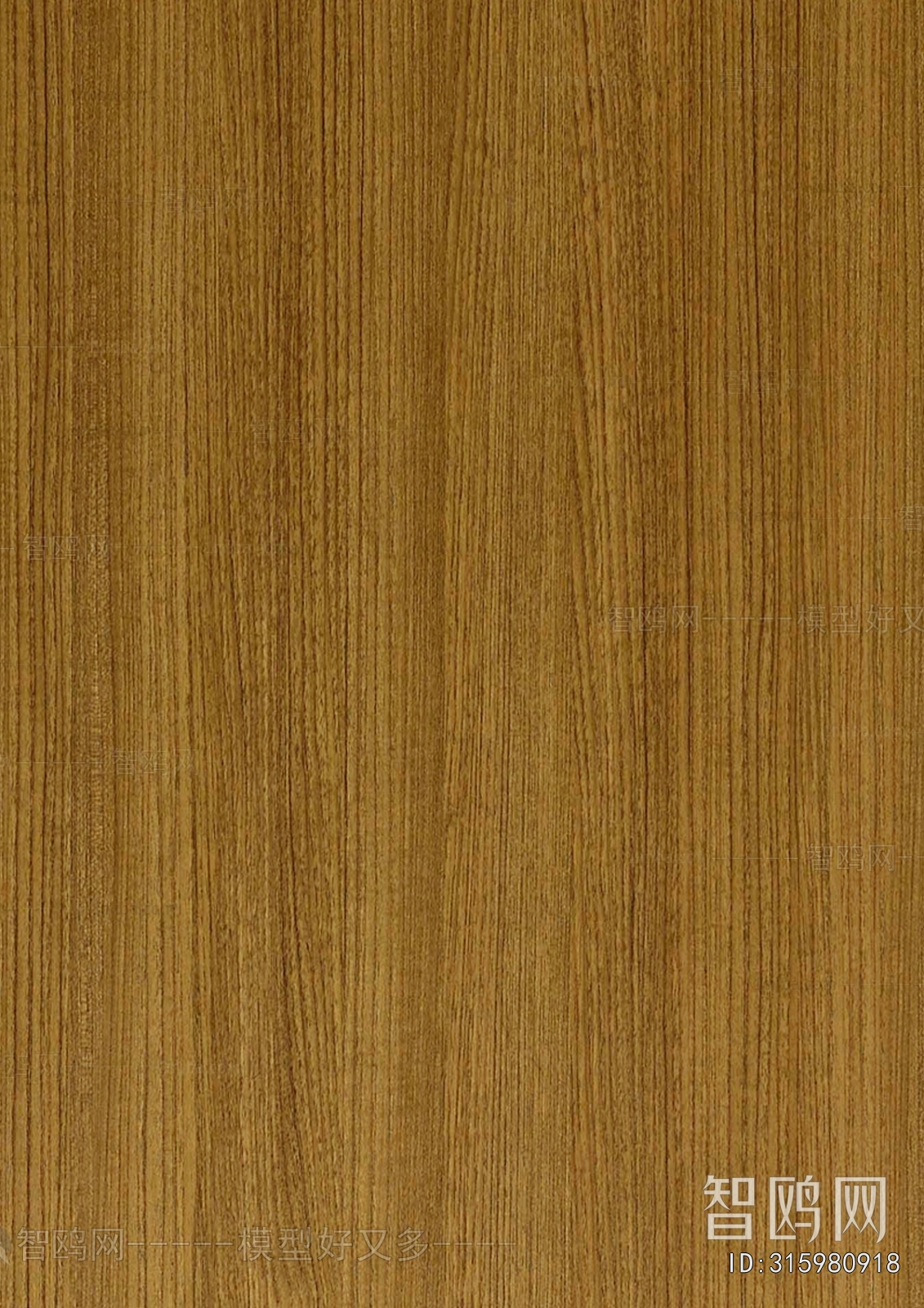Wood Texture