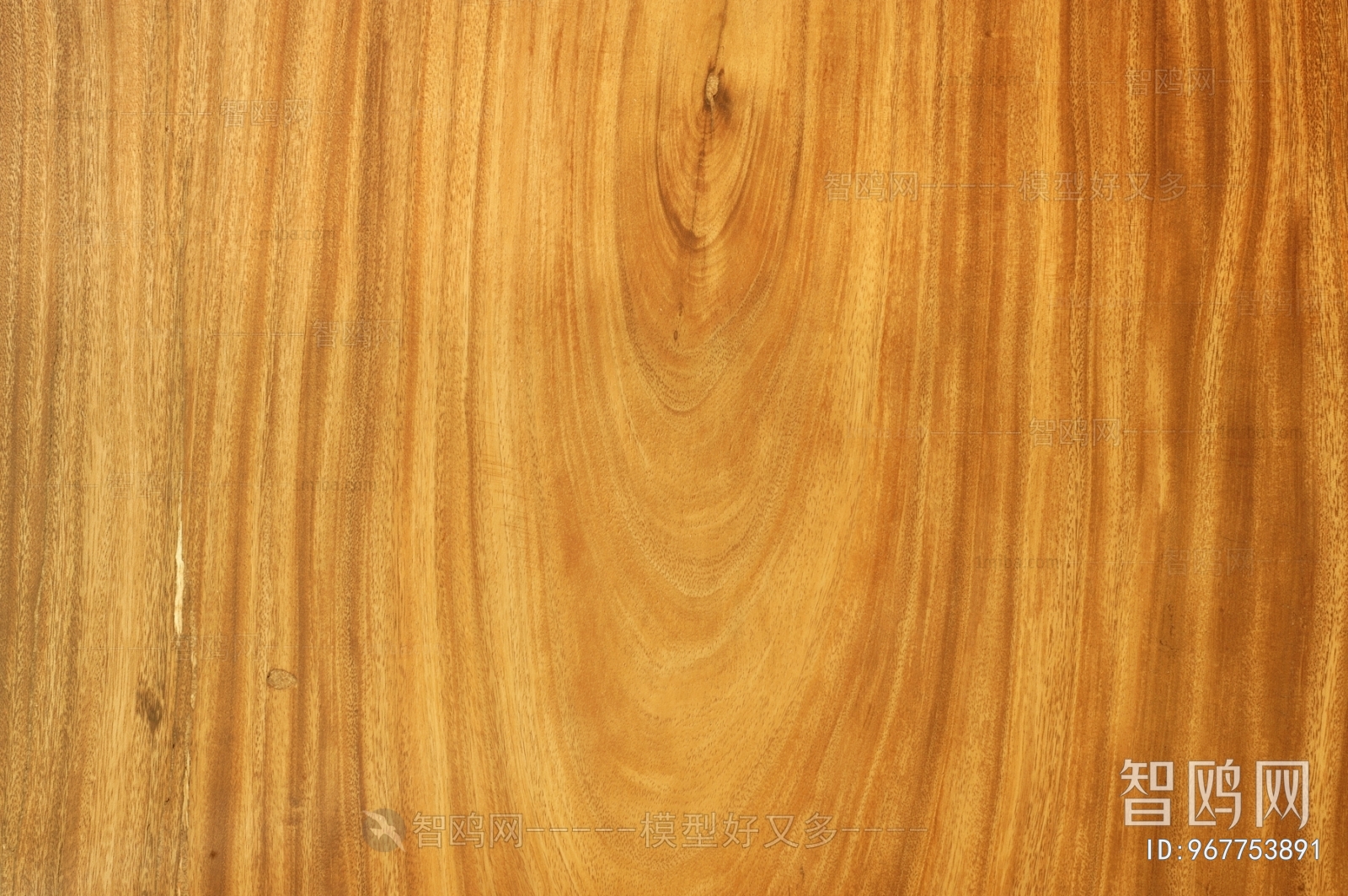 Wood Texture