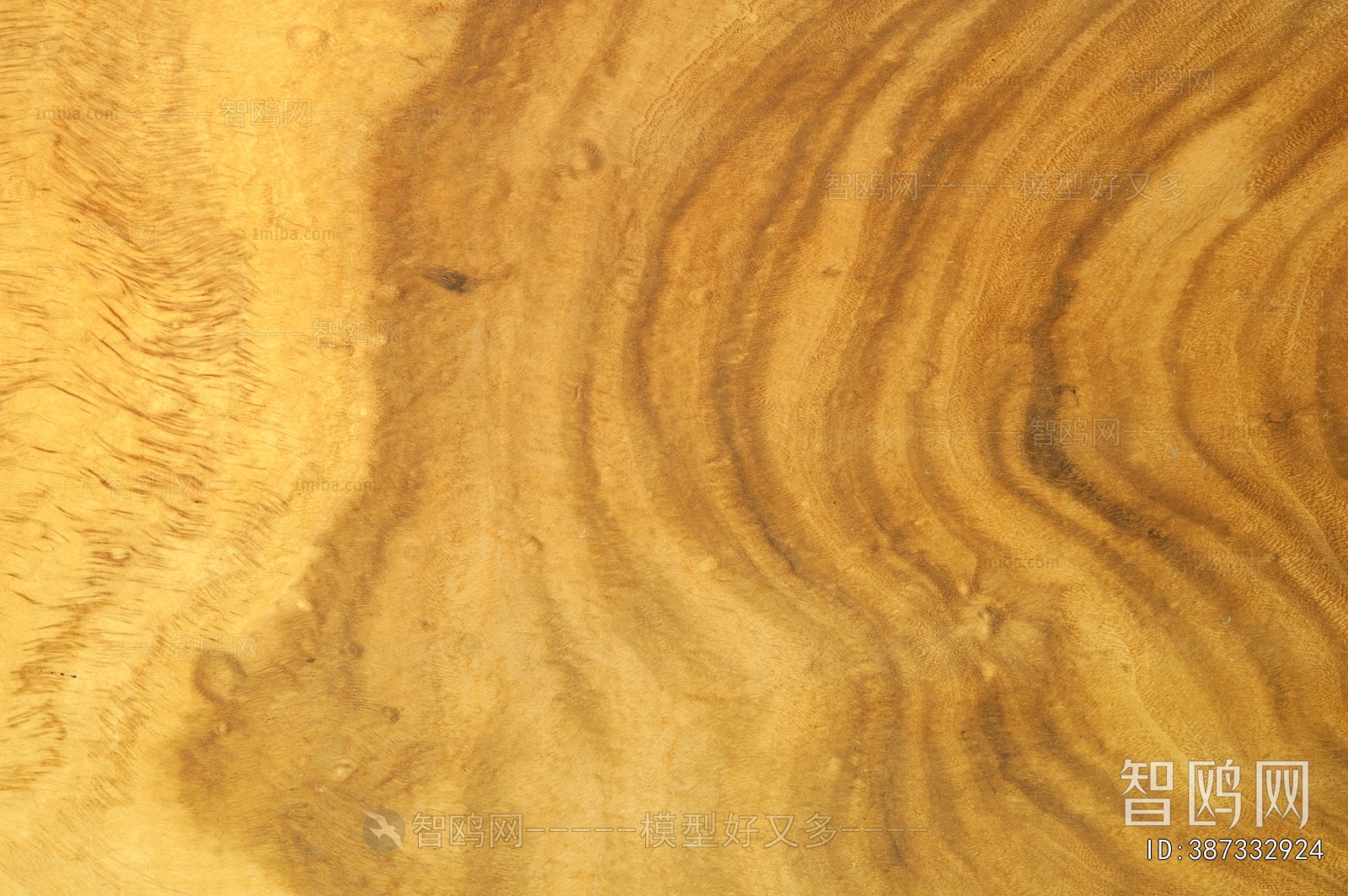Wood Texture
