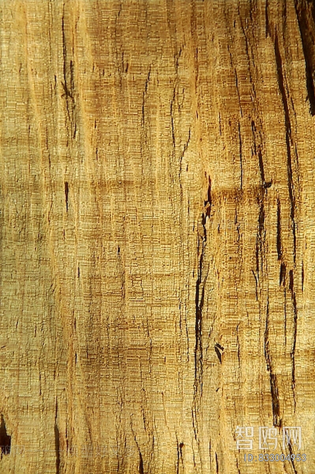 Wood Texture