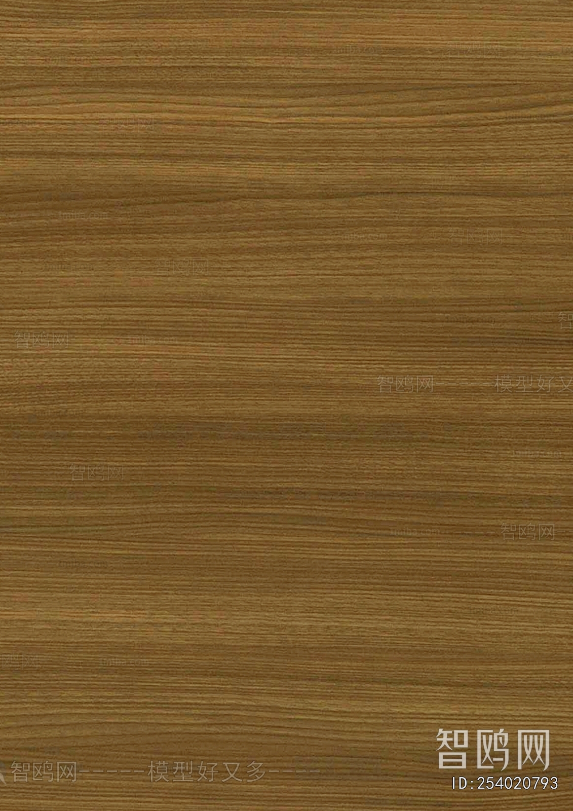 Wood Texture