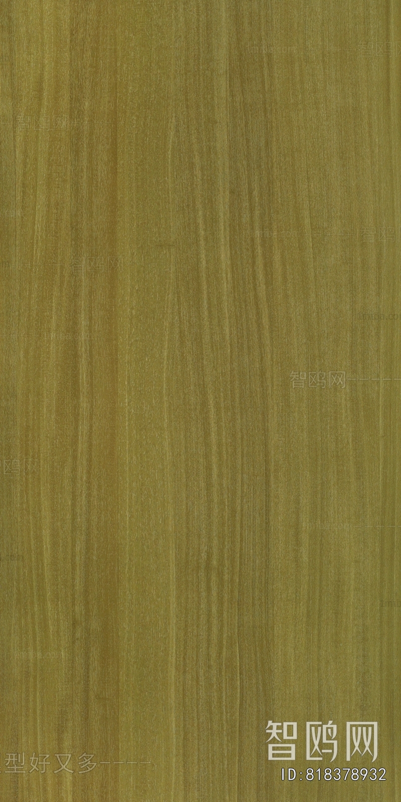 Wood Texture