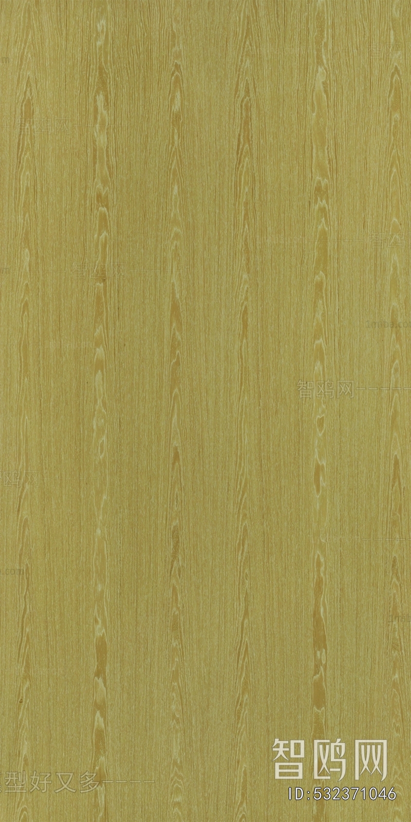 Wood Texture