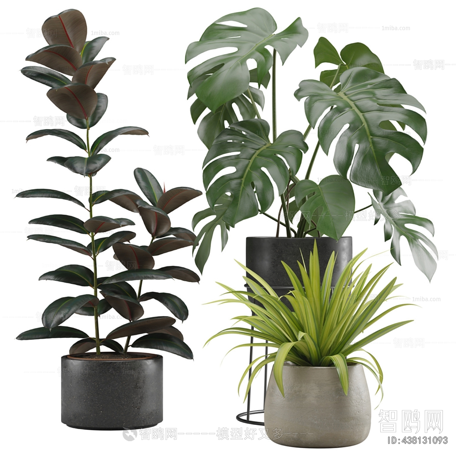 Modern Potted Green Plant