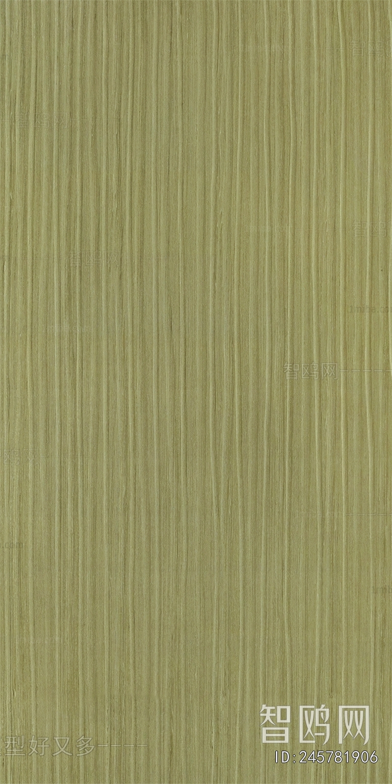 Wood Texture