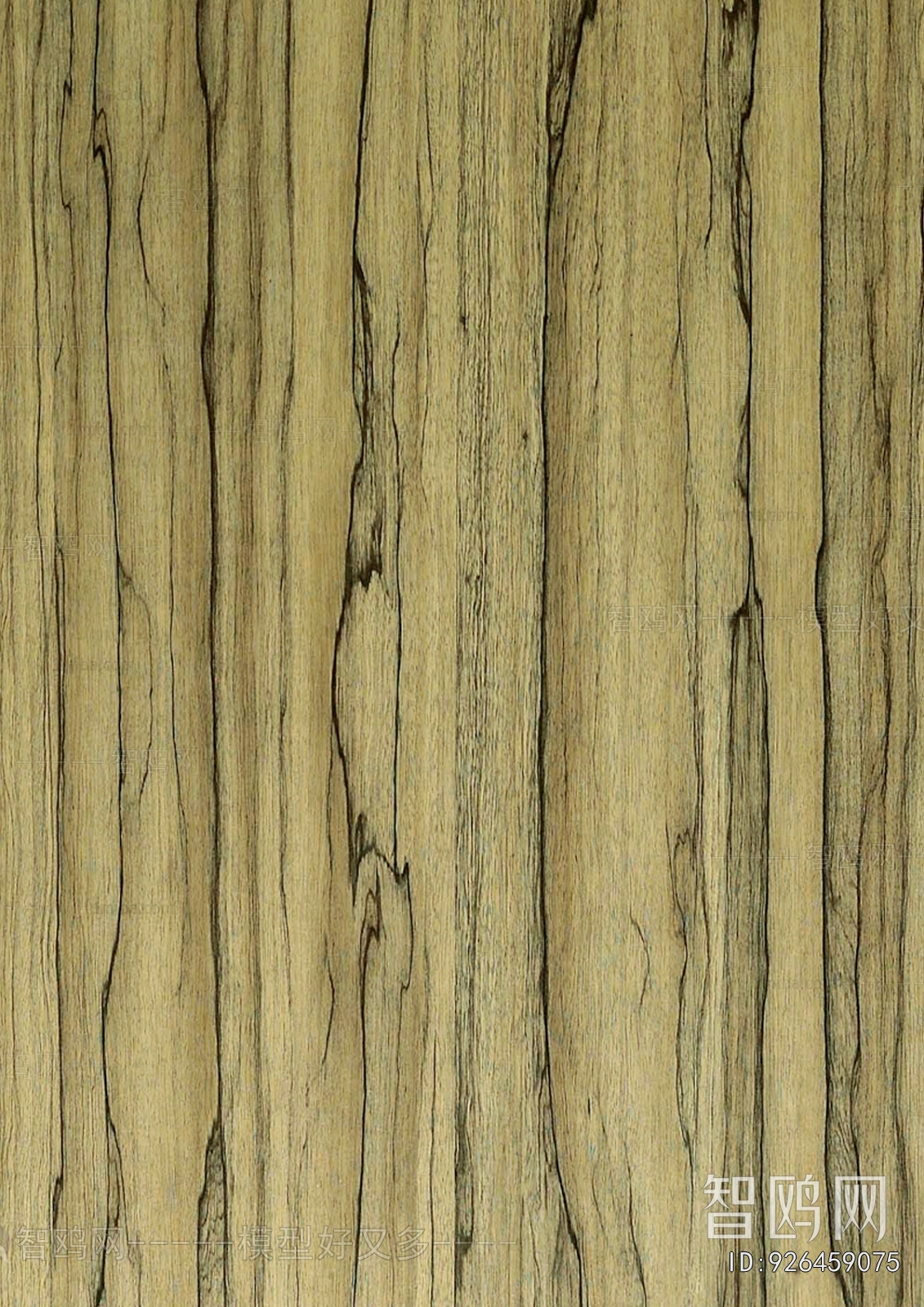 Wood Texture