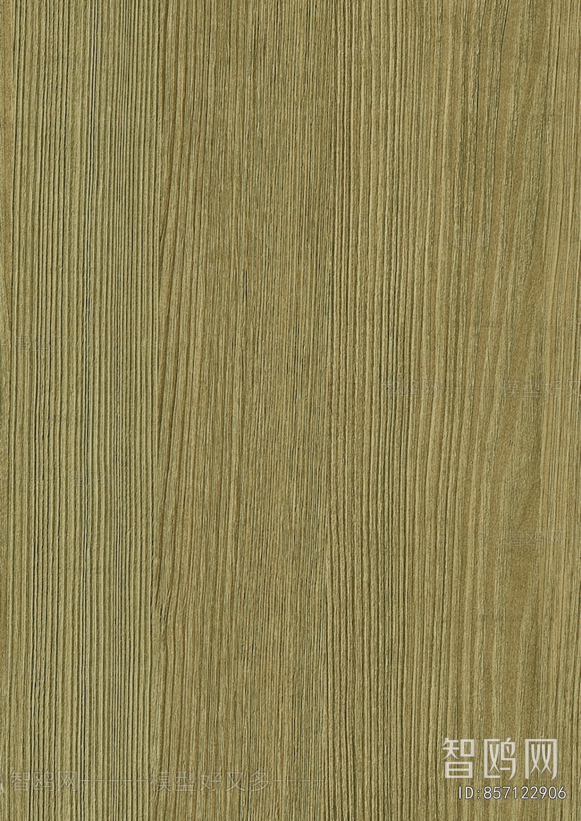 Wood Texture