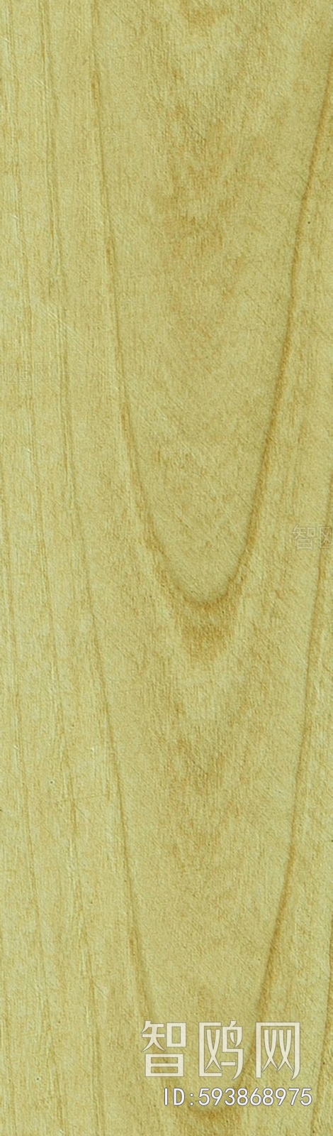 Wood Texture