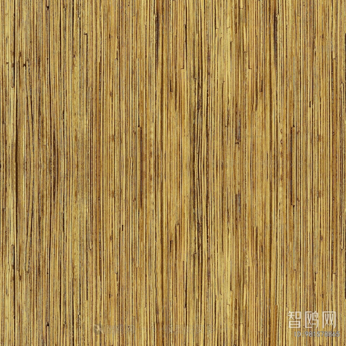 Wood Texture