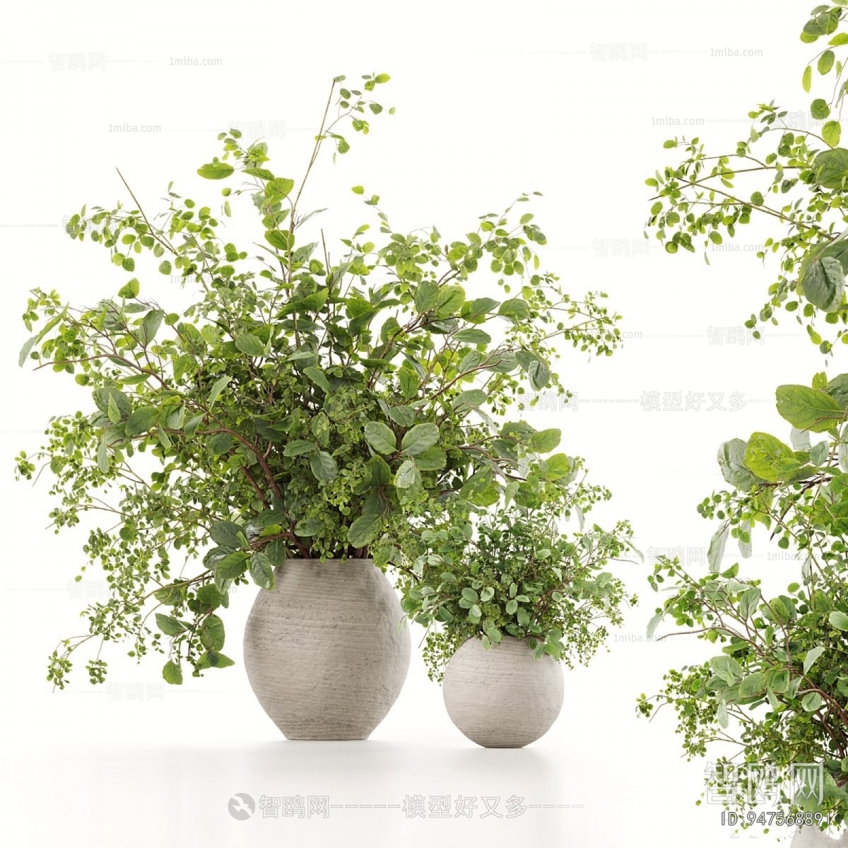 Modern Ground Green Plant Potted Plants