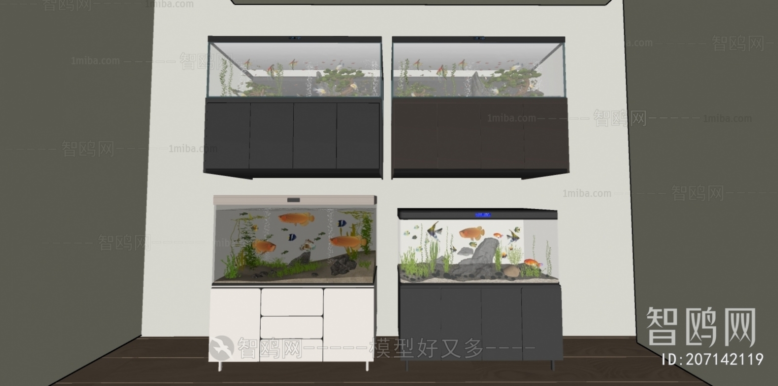 Modern Fish Tank