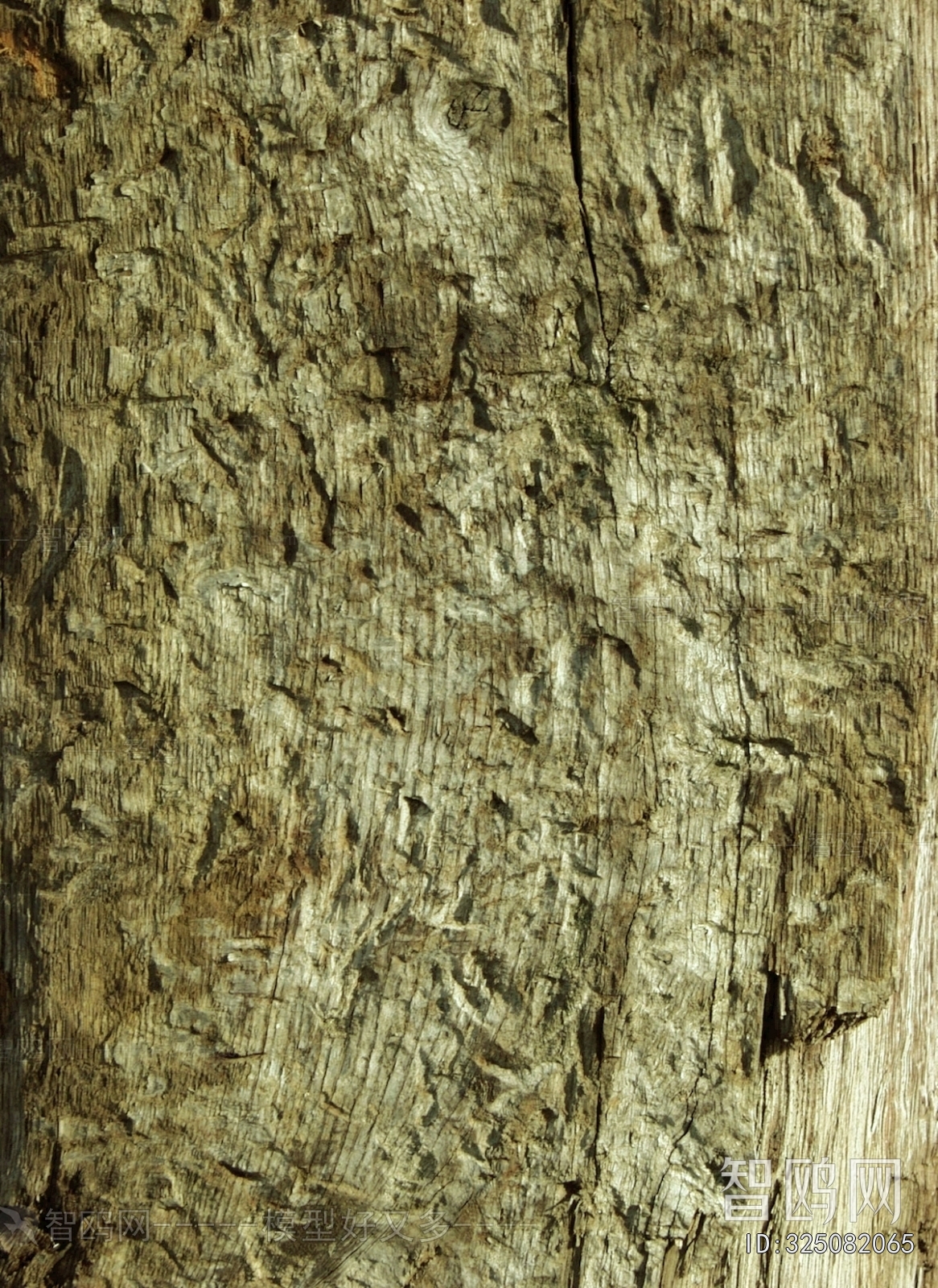 Wood Texture