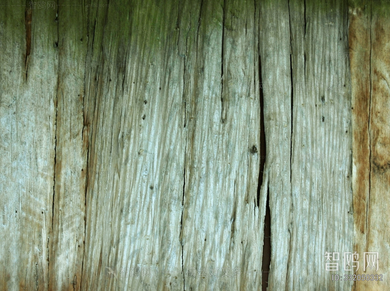 Wood Texture
