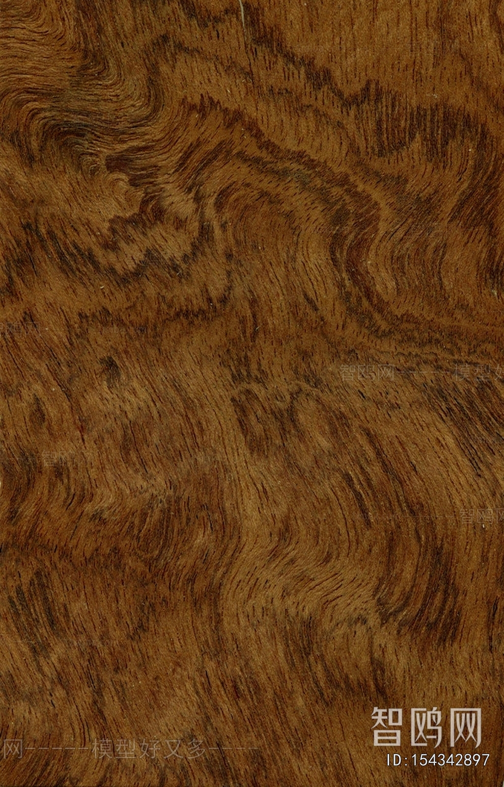 Wood Texture