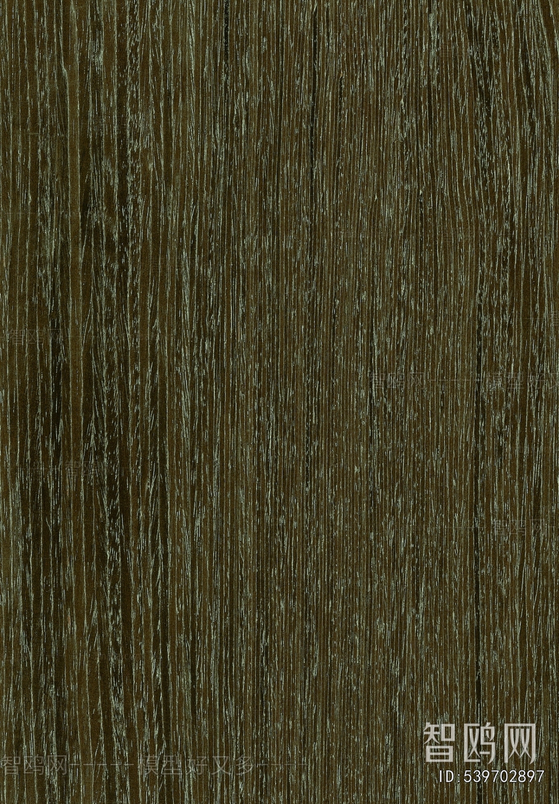 Wood Texture
