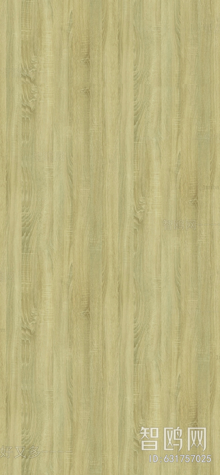Wood Texture