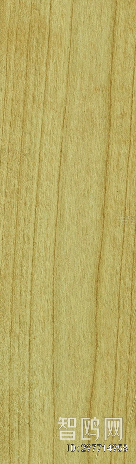 Wood Texture