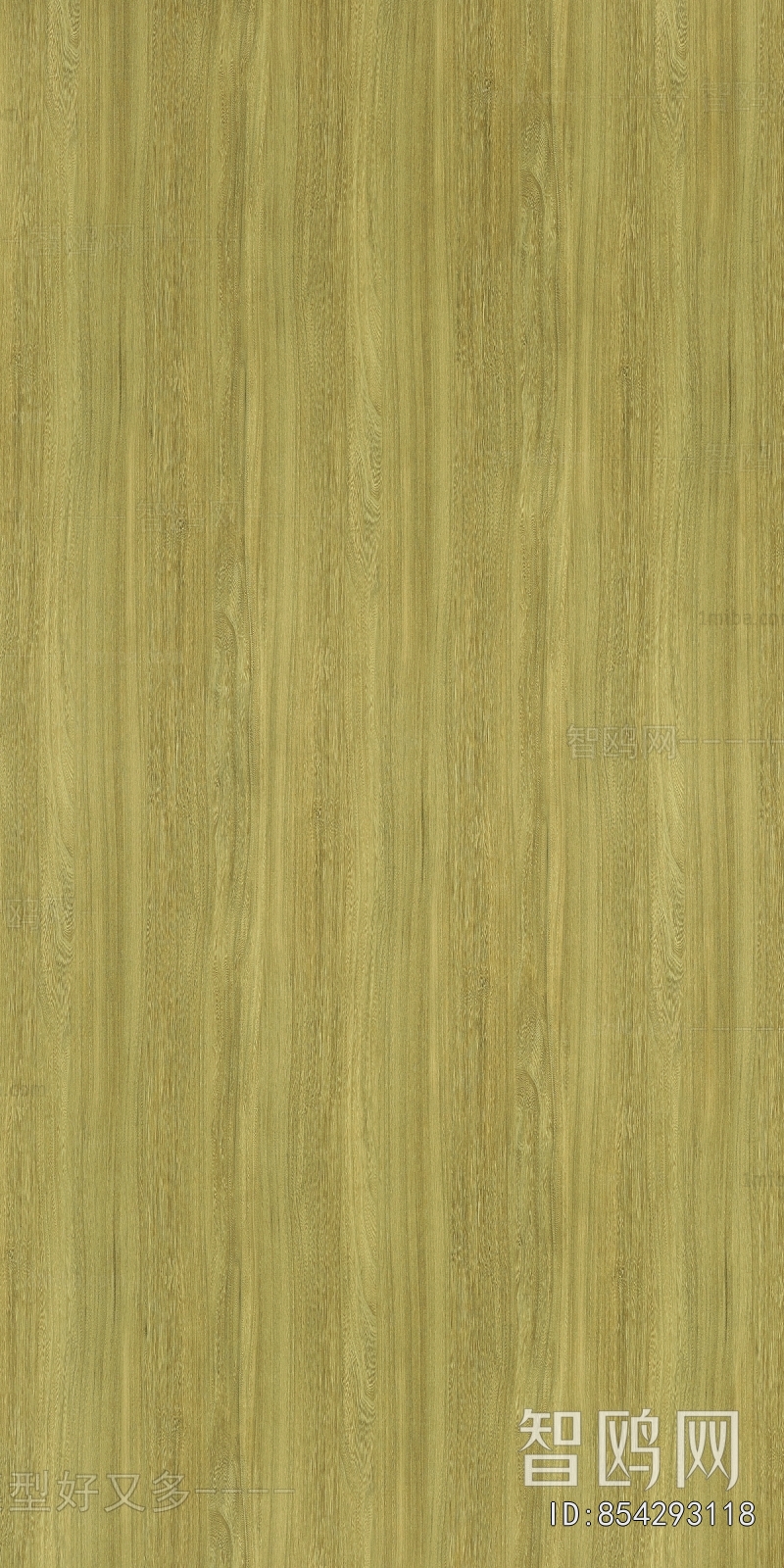 Wood Texture