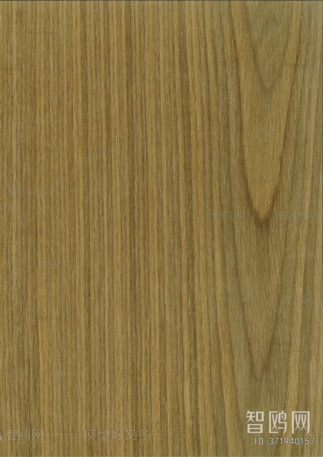 Wood Texture