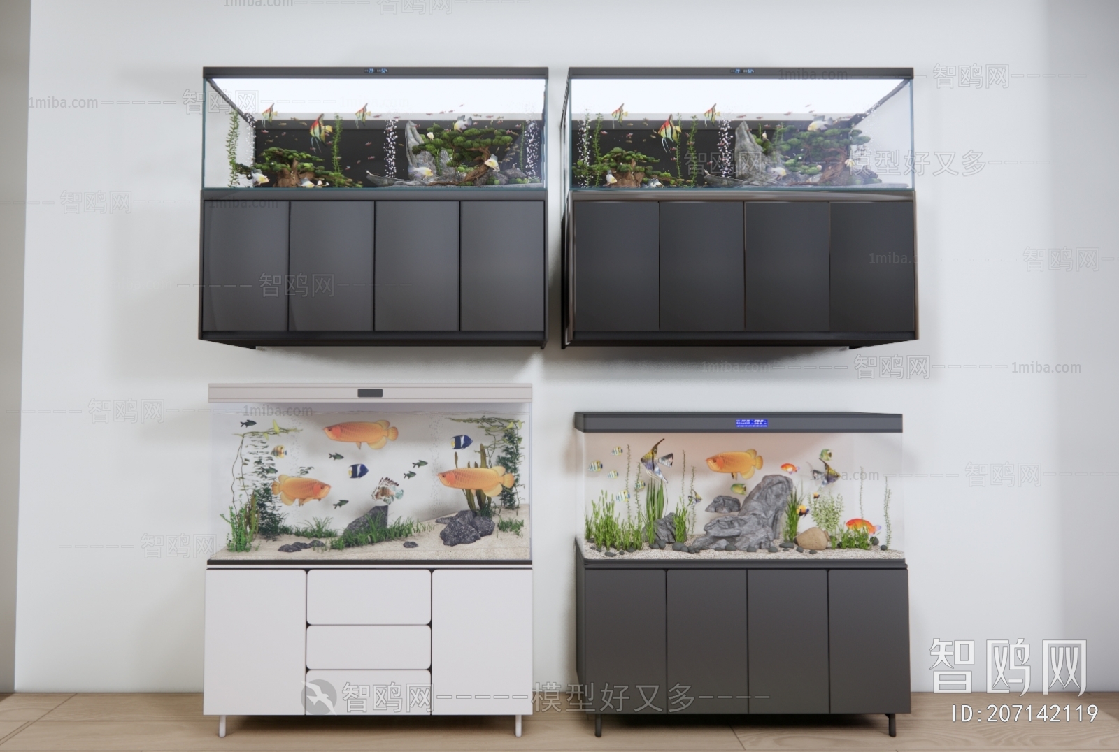 Modern Fish Tank