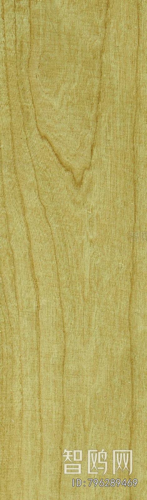 Wood Texture
