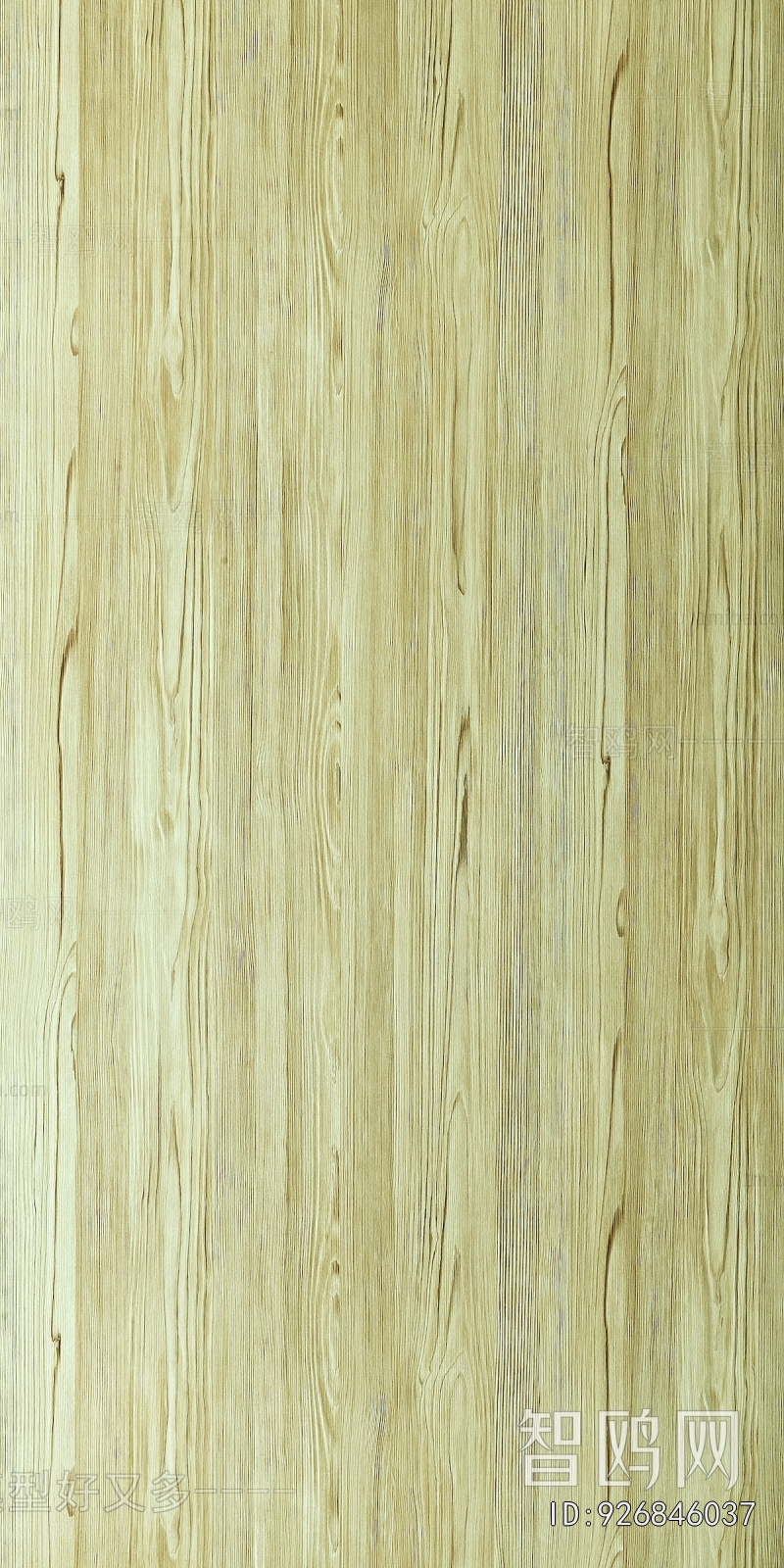 Wood Texture