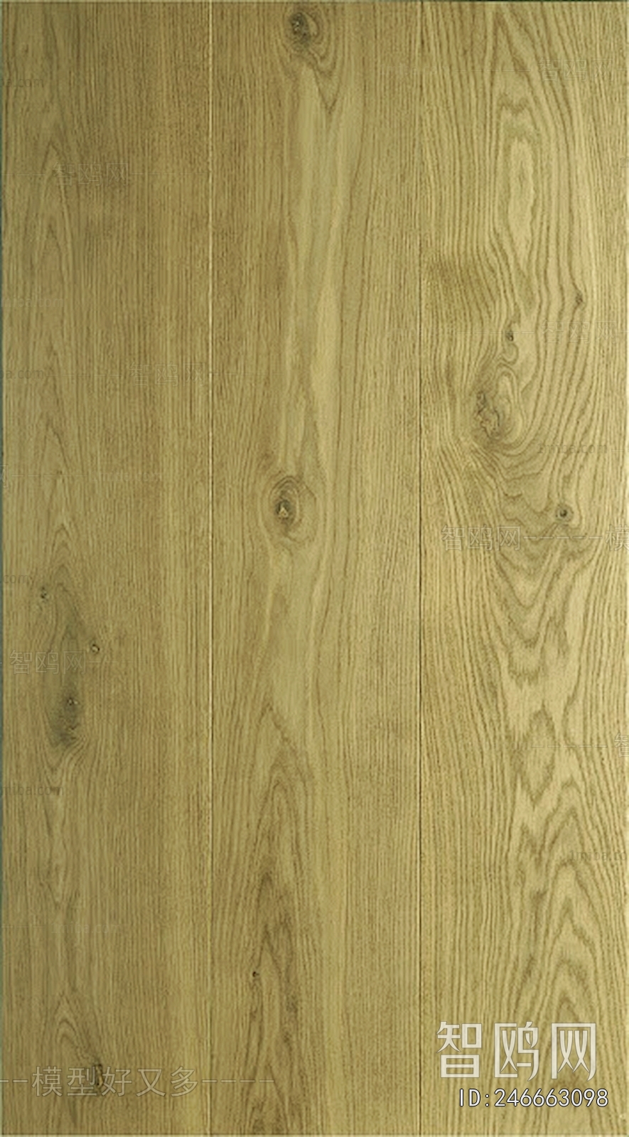 Wood Texture