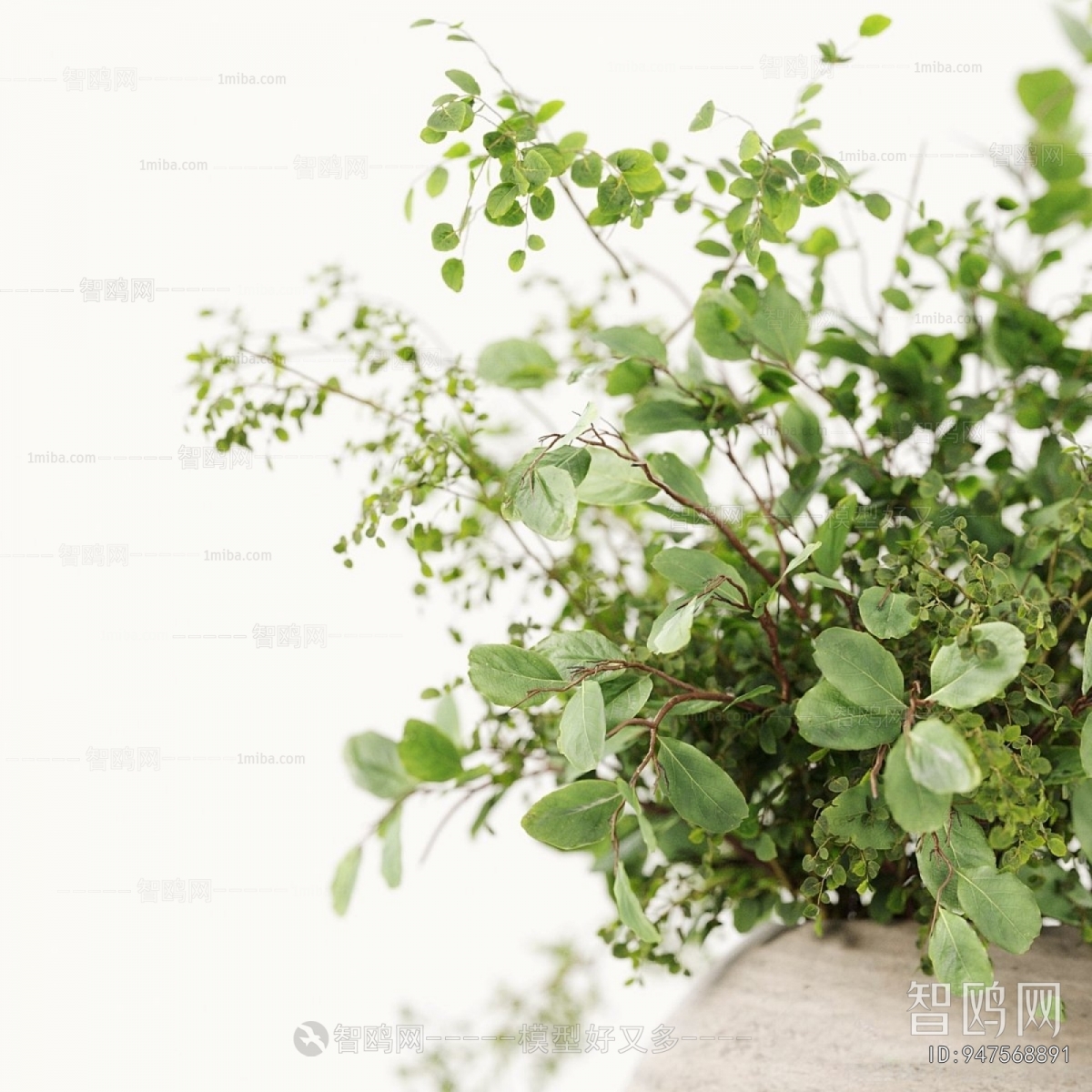 Modern Ground Green Plant Potted Plants