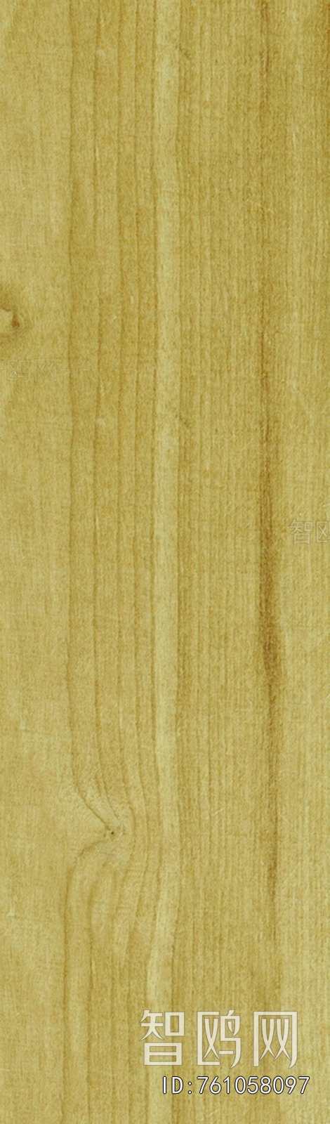 Wood Texture