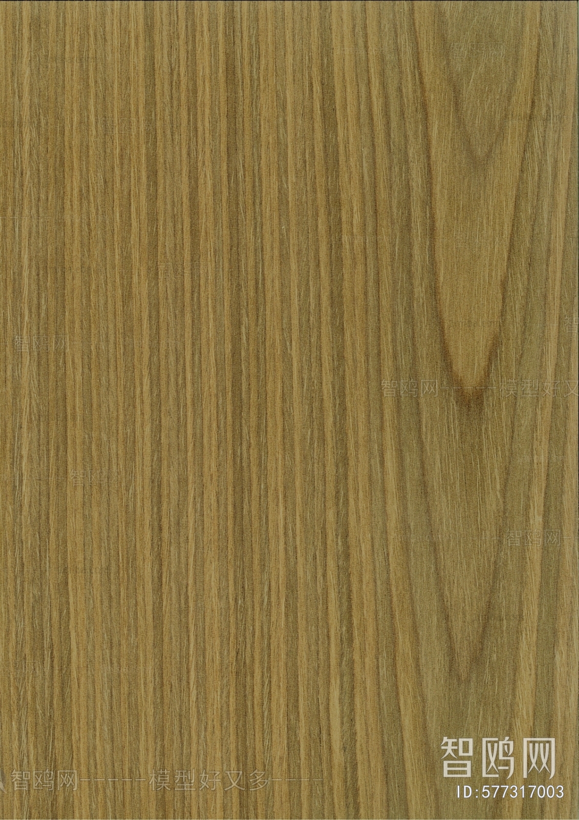 Wood Texture